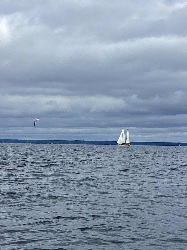 Voyage photo from Mot Västervik 