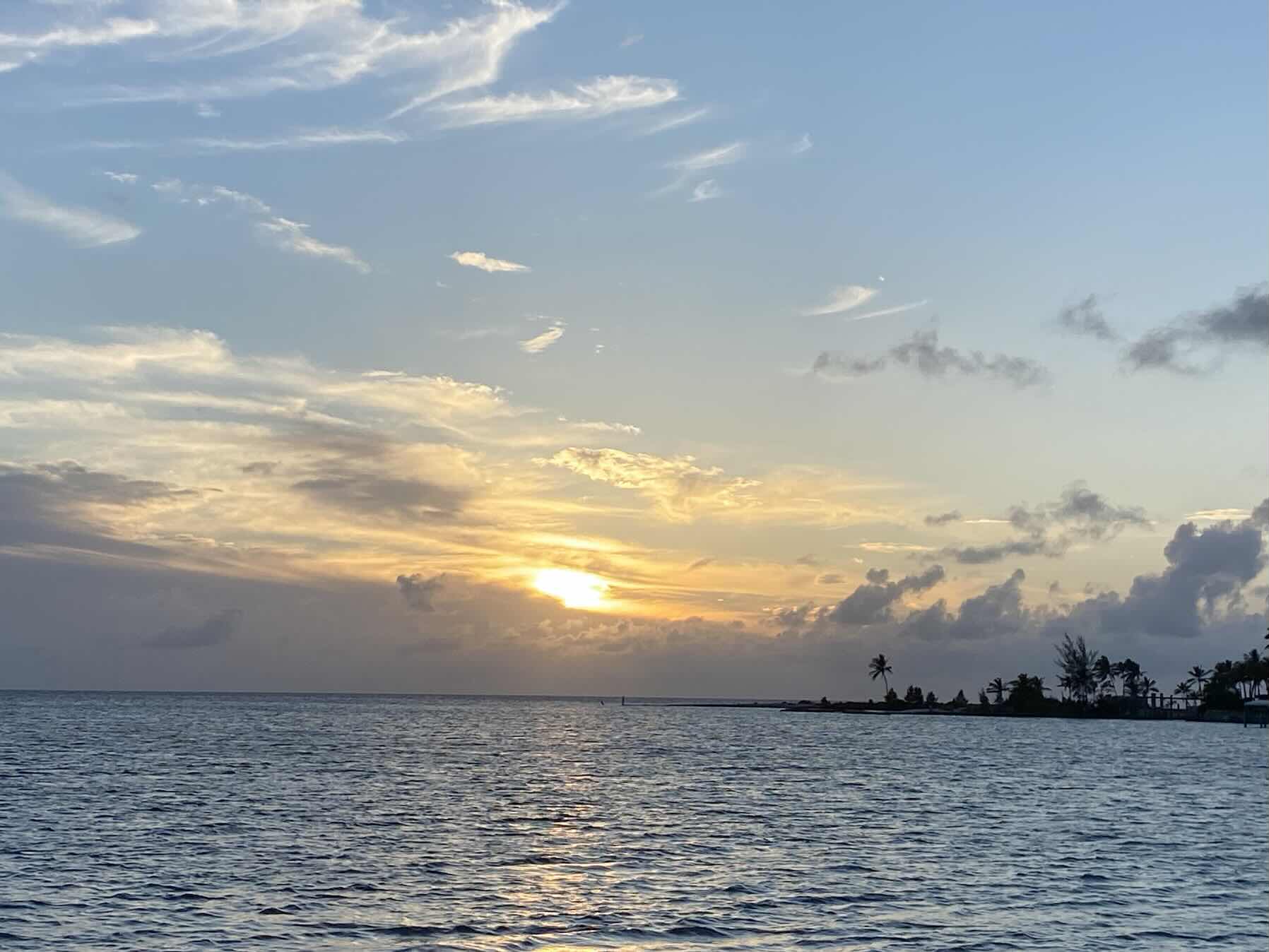 Hello coral head_9541AAA6-725D-4CCF-B199-EA0A79729432