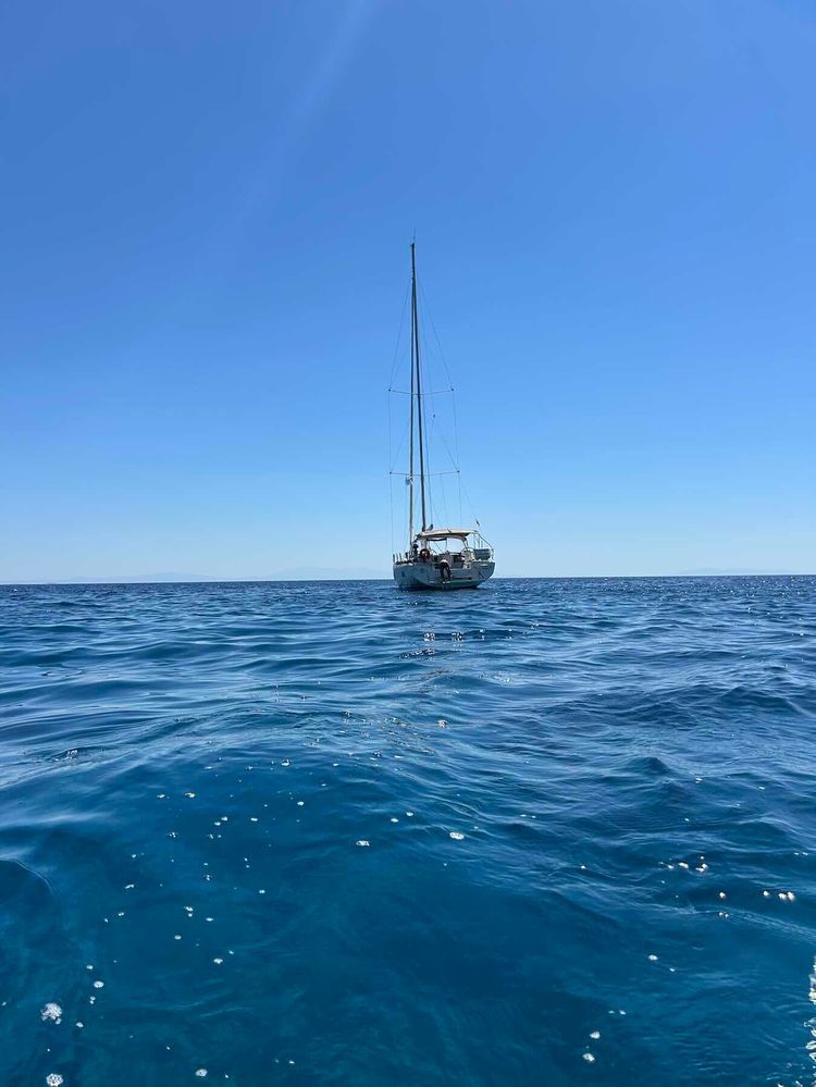 Voyage photo from Swim Stop
