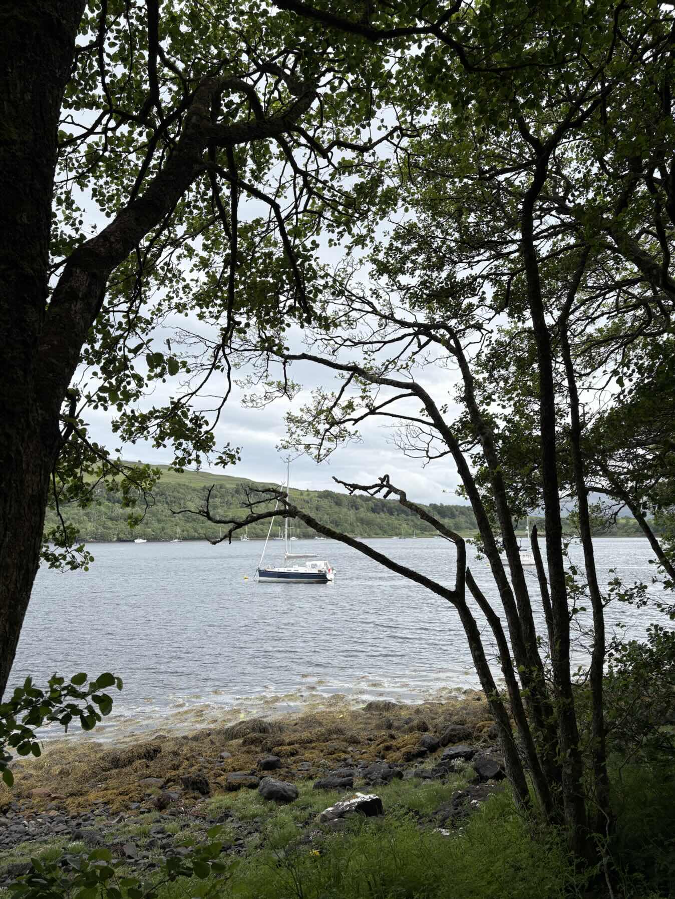 Loch Linne to Lochaline_EFF0943C-6B8F-4097-A1E8-674DF53C3773