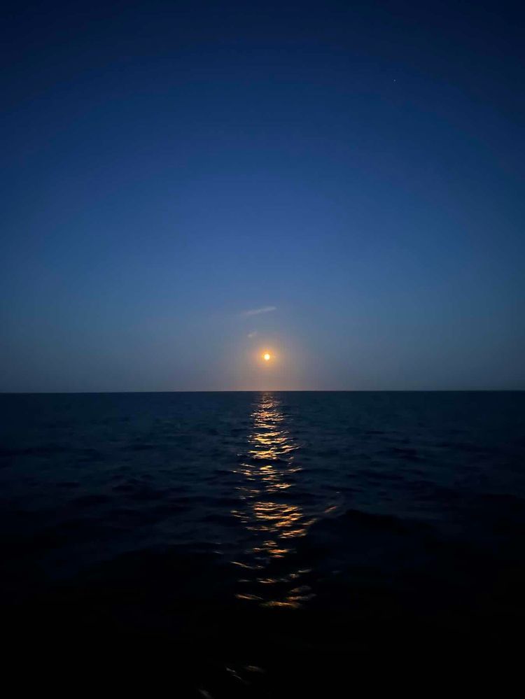 Voyage photo from 