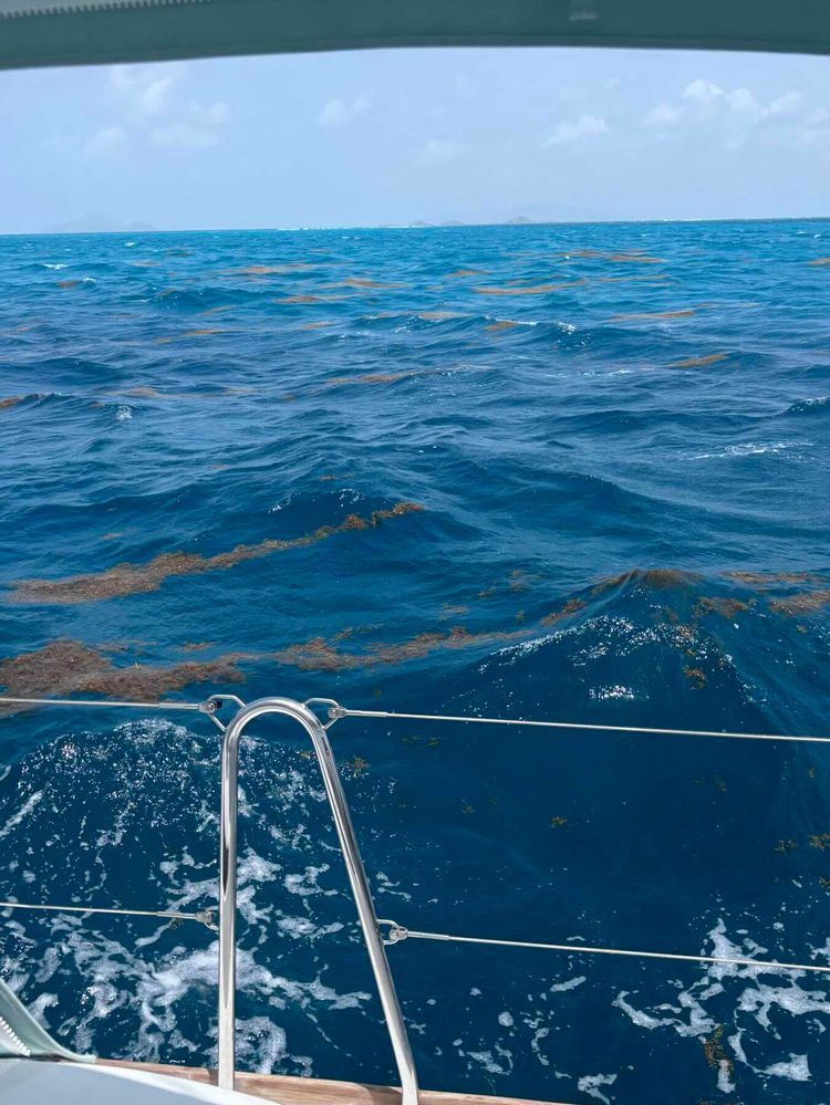 Voyage photo from Mustique to Tobago Cays