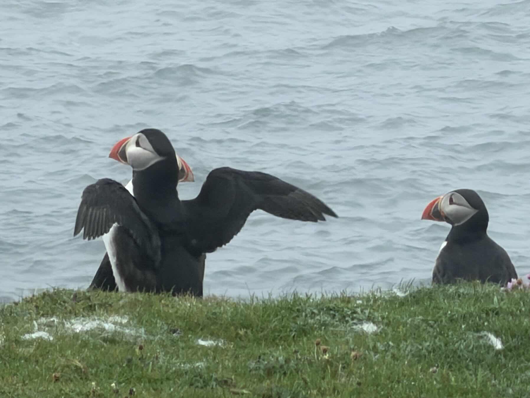 Small Isles_9B885E1E-5737-4AF9-A732-69EE45A579C1