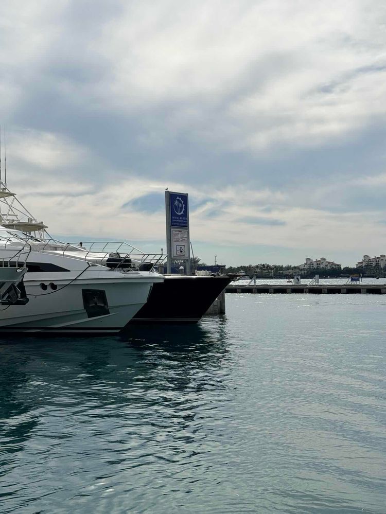 Voyage photo from Water baby