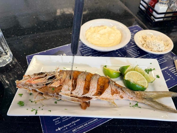 Voyage photo from Water baby