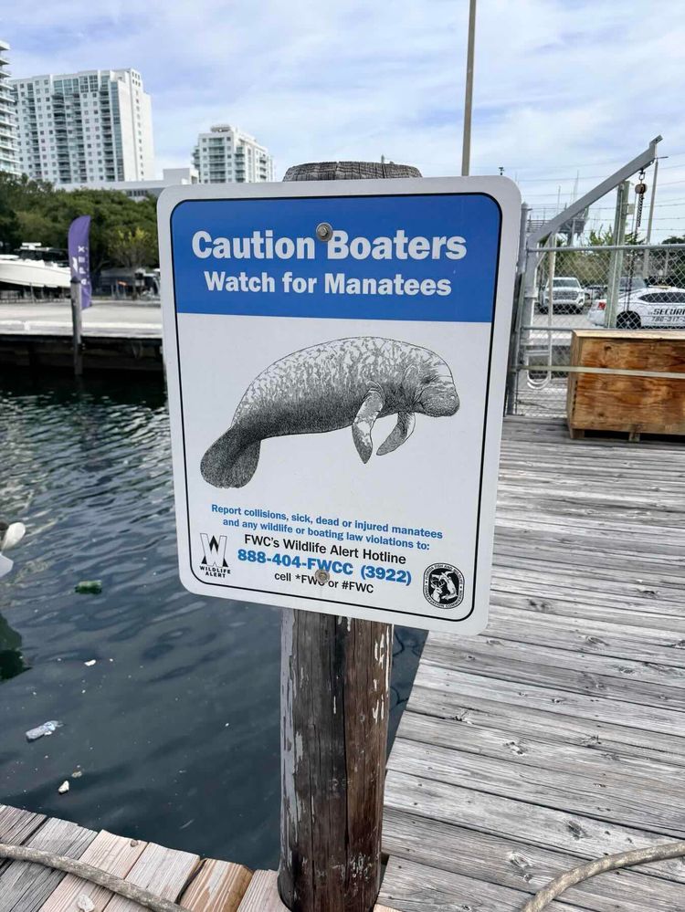 Voyage photo from Water baby