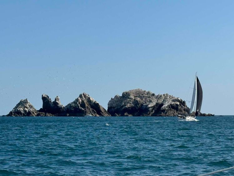 Voyage photo from Channel Hop - Return from Alderney