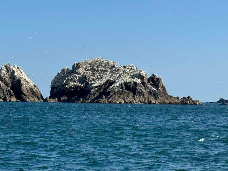 Voyage photo from Channel Hop - Return from Alderney