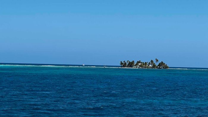 Voyage photo from Carrie Bow Cay