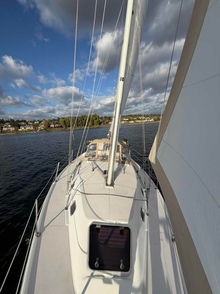 Voyage photo from Daysail with New Friends