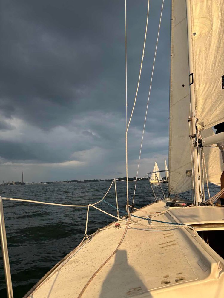 Voyage photo from Wednesday Race