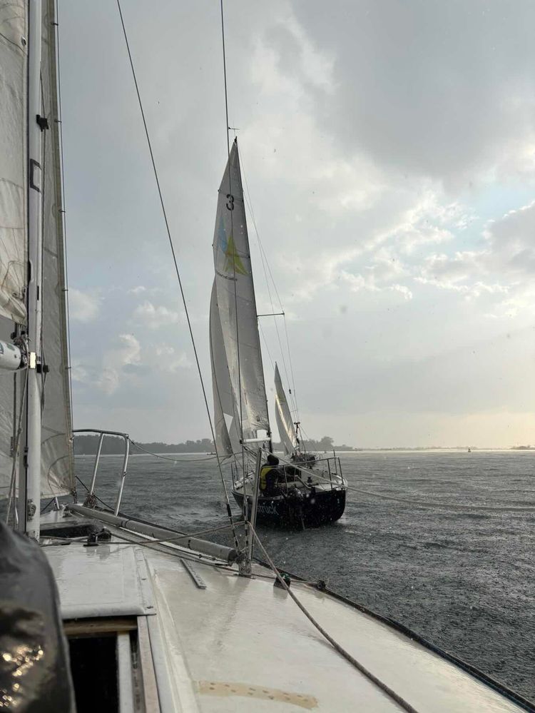 Voyage photo from Wednesday Race