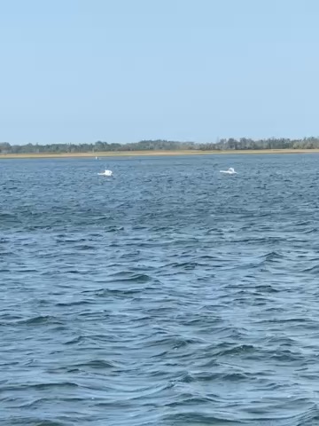 Its to beautiful here to fight the lake_2E21618A-42E8-4176-9CC8-D5E58D835AF3