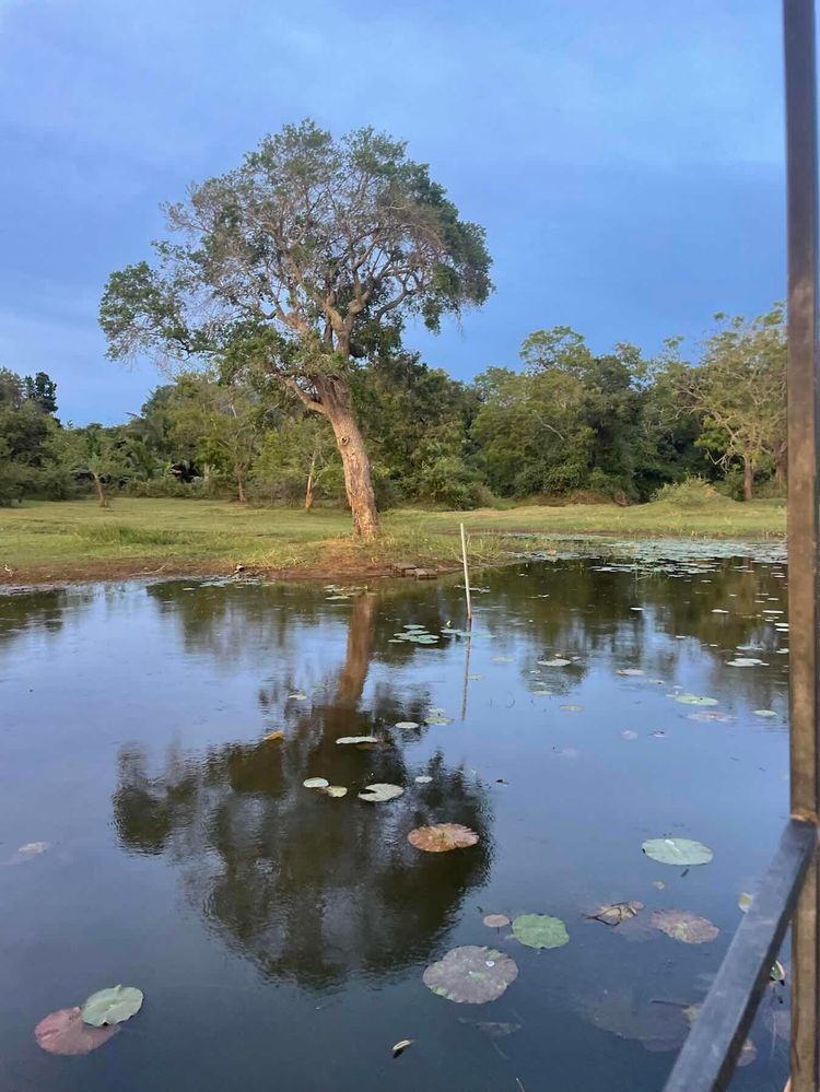 Voyage photo from Tranquill wild boat lake trip