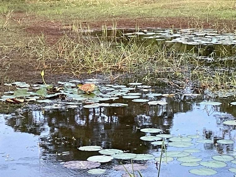 Voyage photo from Tranquill wild boat lake trip
