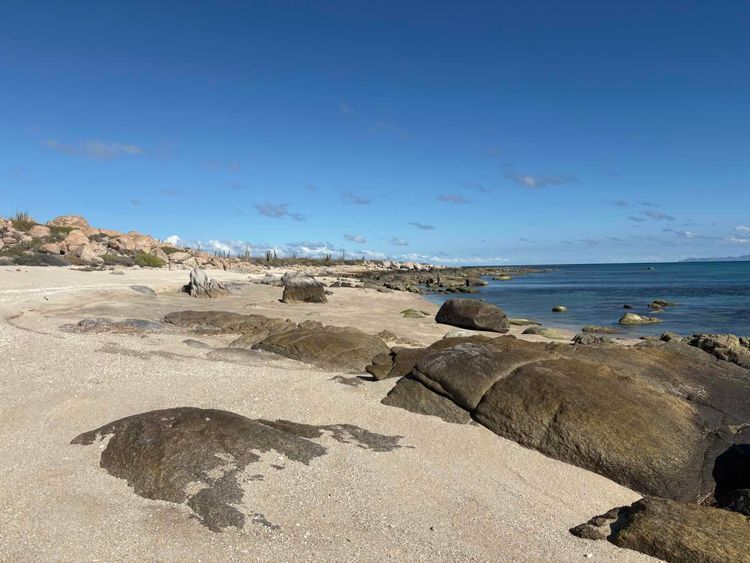 Voyage photo from Bahai Muertos to Espiritu Santo