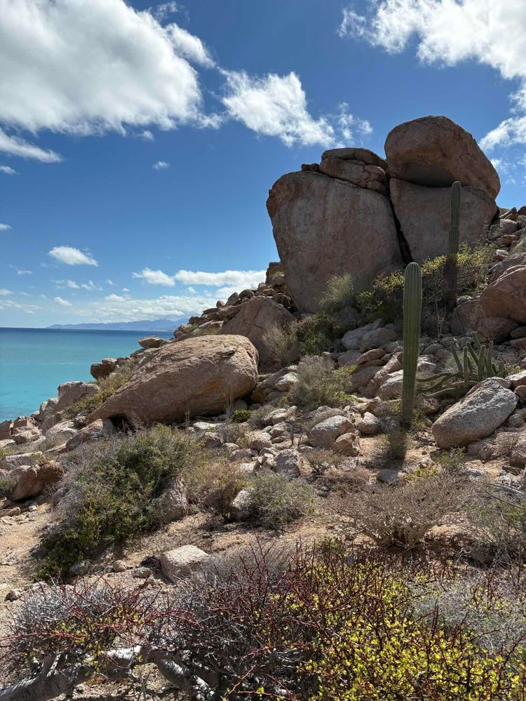 Voyage photo from Bahai Muertos to Espiritu Santo