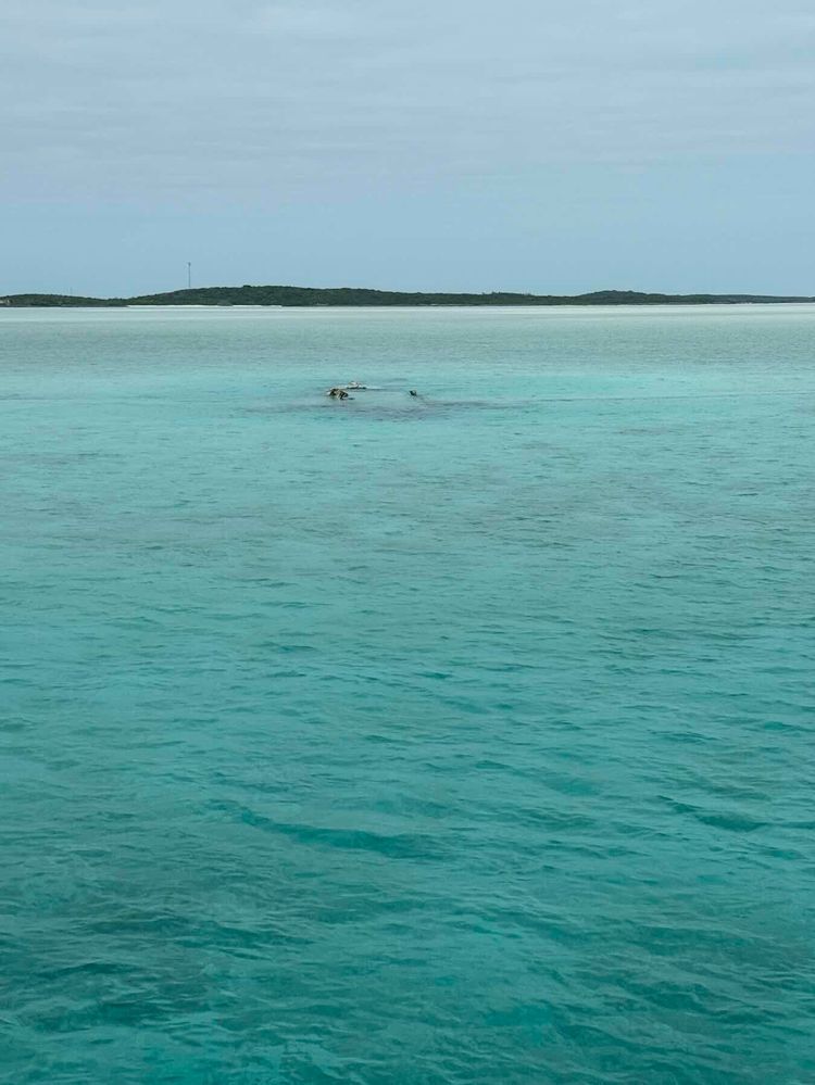 Voyage photo from Nassau East to Norman’s Cay, Bahamas.