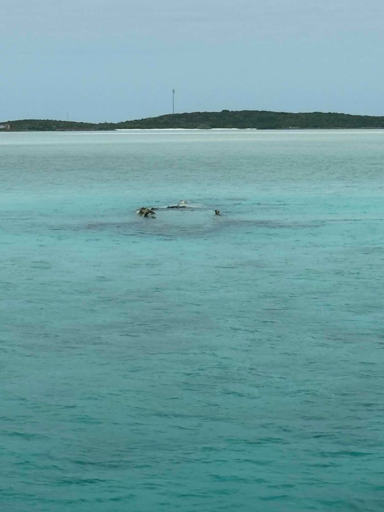 Voyage photo from Nassau East to Norman’s Cay, Bahamas.