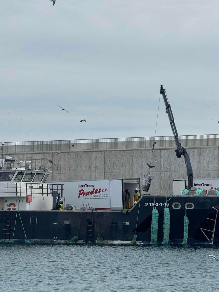 Voyage photo from Another storm is coming!