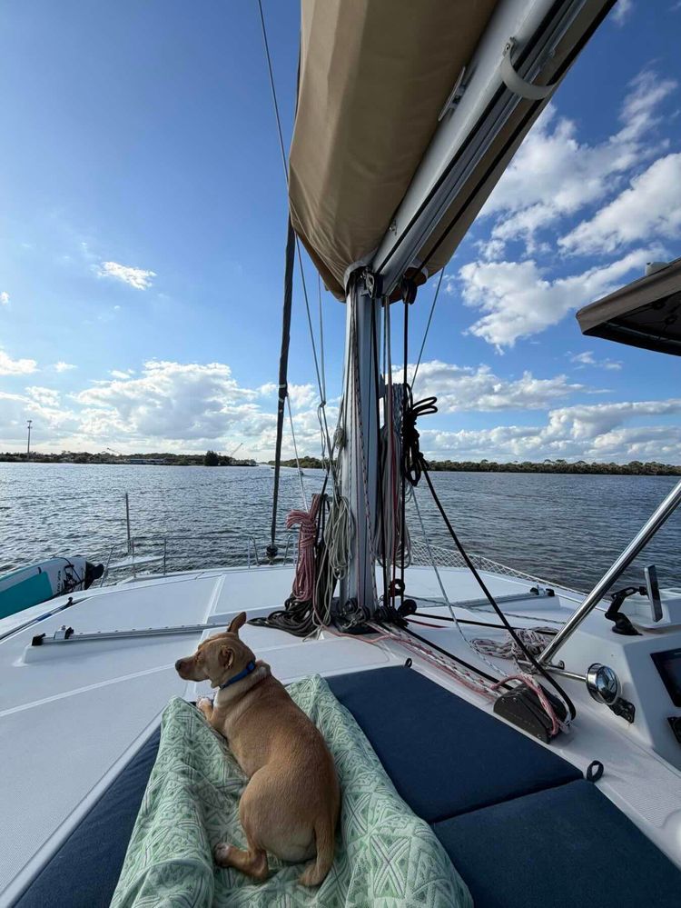 Voyage photo from Hubert Bridge to Sebastian Inlet State Park.