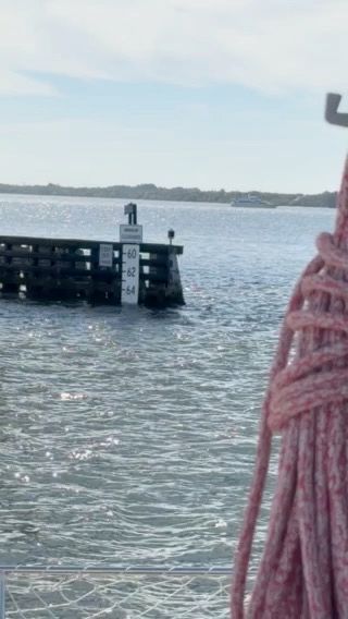 Voyage photo from Hubert Bridge to Sebastian Inlet State Park.