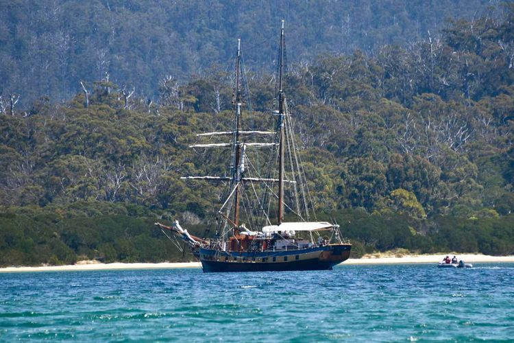 Voyage photo from Windeward Bound Port Davey 8th to 17th November