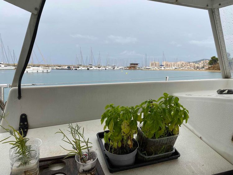 Voyage photo from Toulon-Le lavandou 