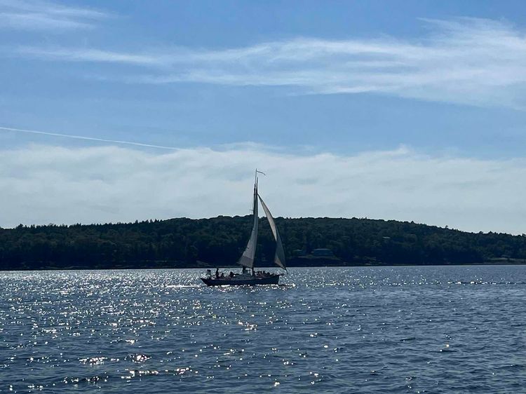 Voyage photo from Passenger tour