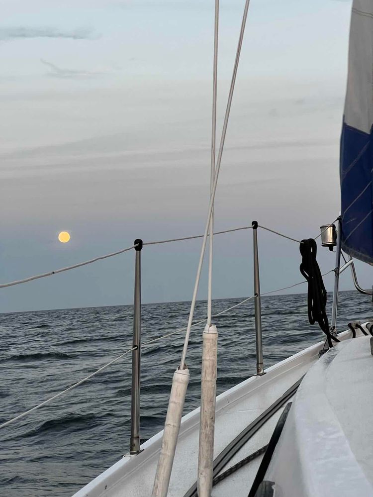 Voyage photo from Back to the Home Port. Part 1