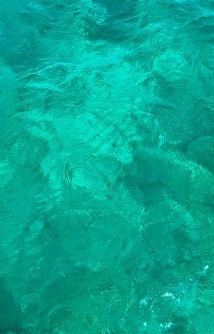 Voyage photo from Key West FL- Staniel Cay Bahamas