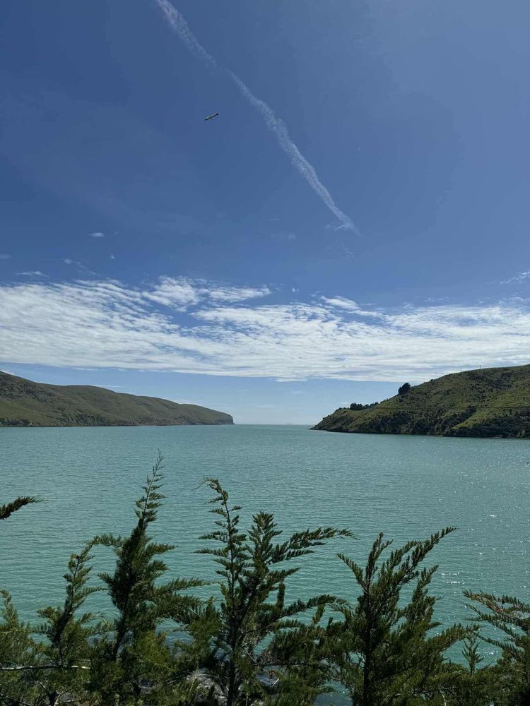 Voyage photo from Port Levy home