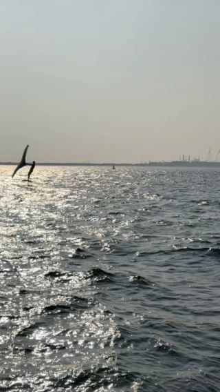 Voyage photo from Powerboat Level 2, day 2, part 2