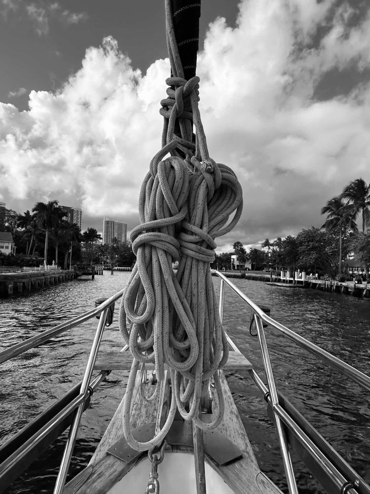 Voyage photo from Unexpected Pleasure