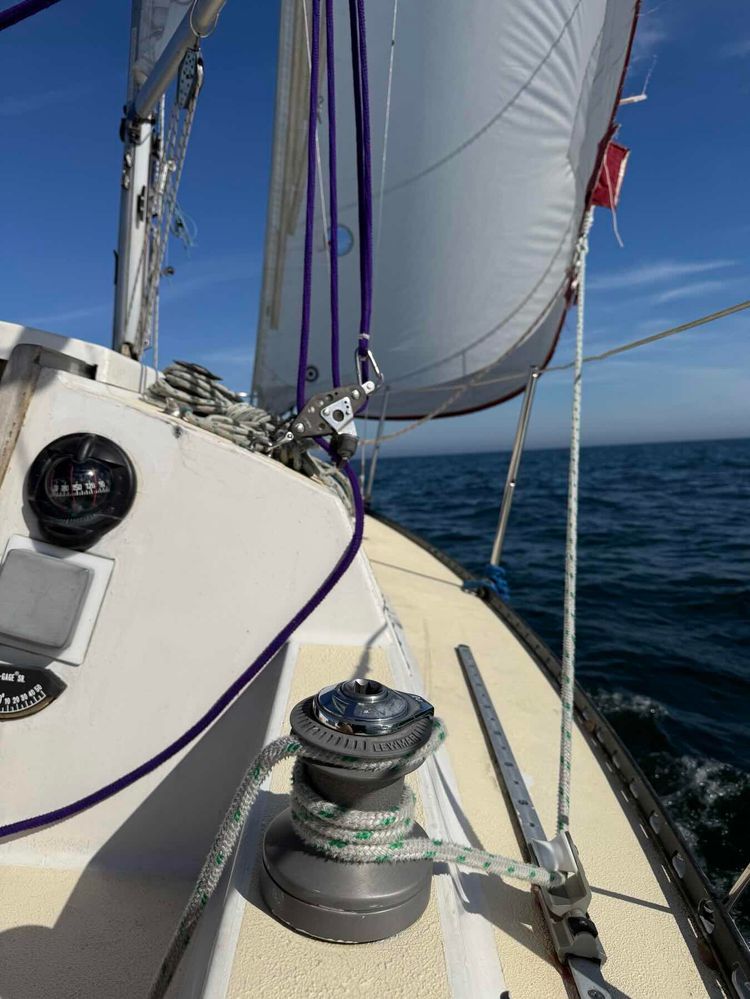 Voyage photo from Outer Harbour Nice; Inner Harbour No Wind 🌬️