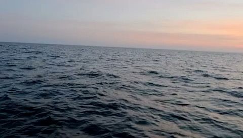 Voyage photo from
