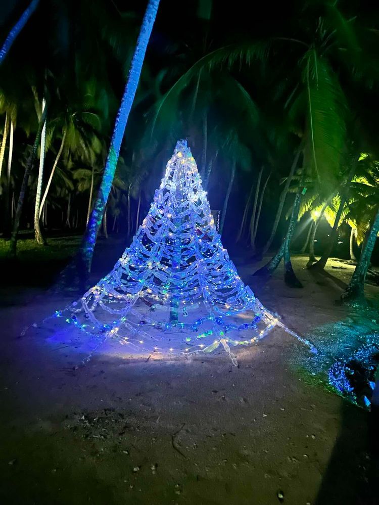 Voyage photo from Bug island to Salurdup to Esnesdup