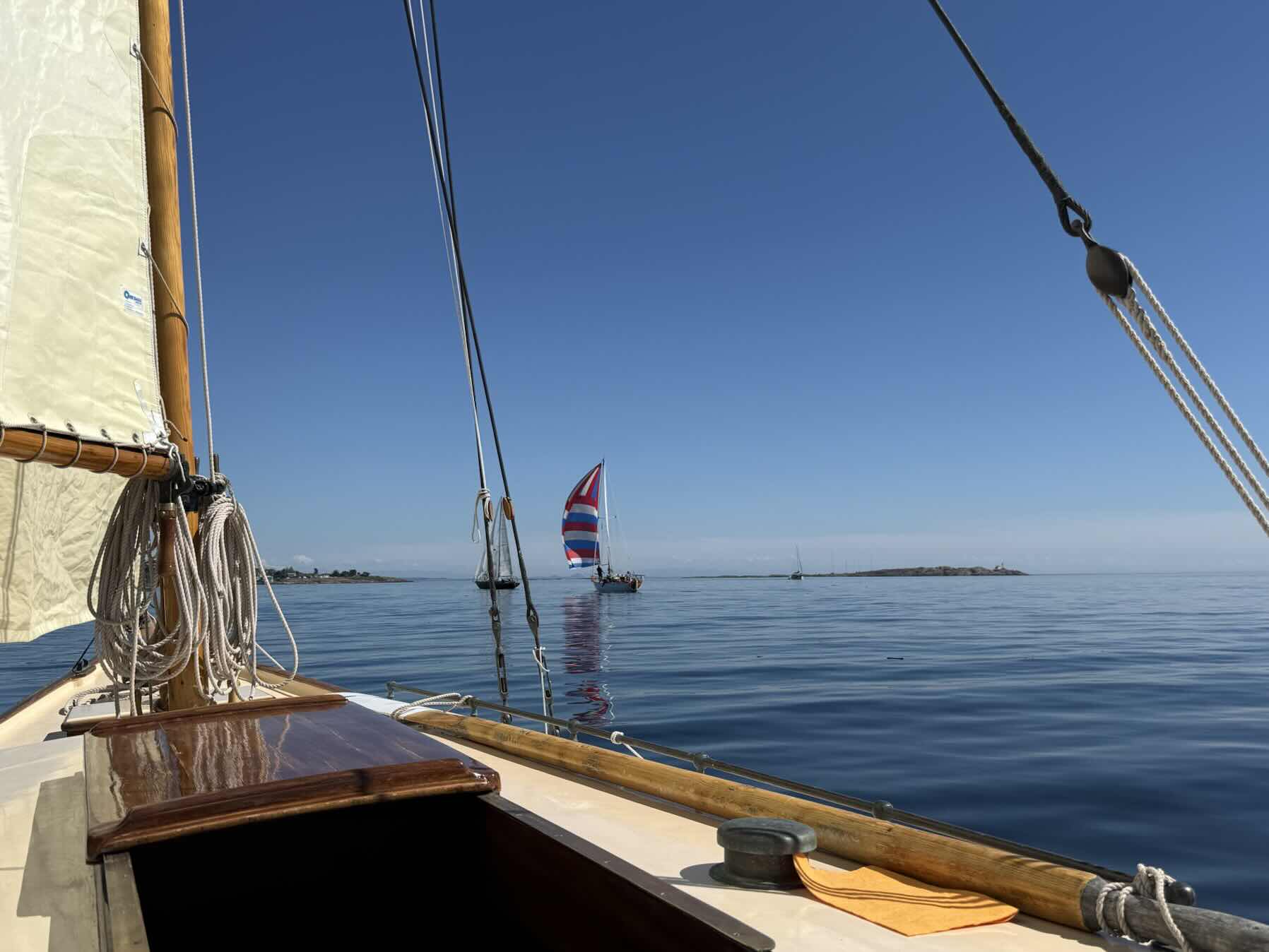 Victoria Classic Boat Festival Sailpast and Race - Dorothy _AADA21C9-C944-4AF4-87EF-B0D07C4BC21A