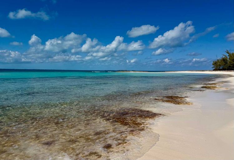 Voyage photo from ManJack to Green Turtle