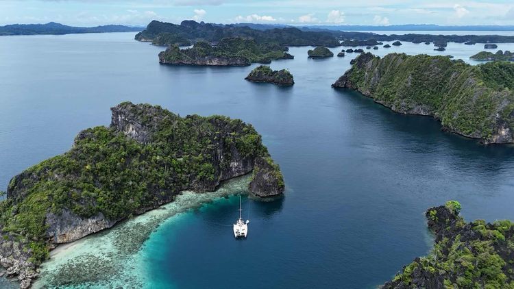 Voyage photo from Wagmab to The Jellyfish Lake