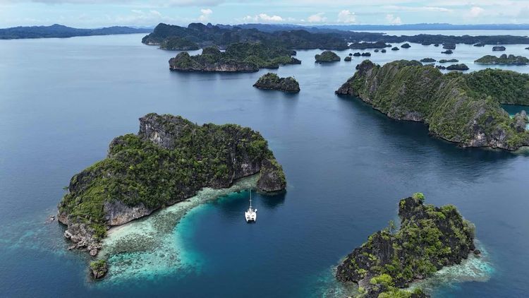 Voyage photo from Wagmab to The Jellyfish Lake