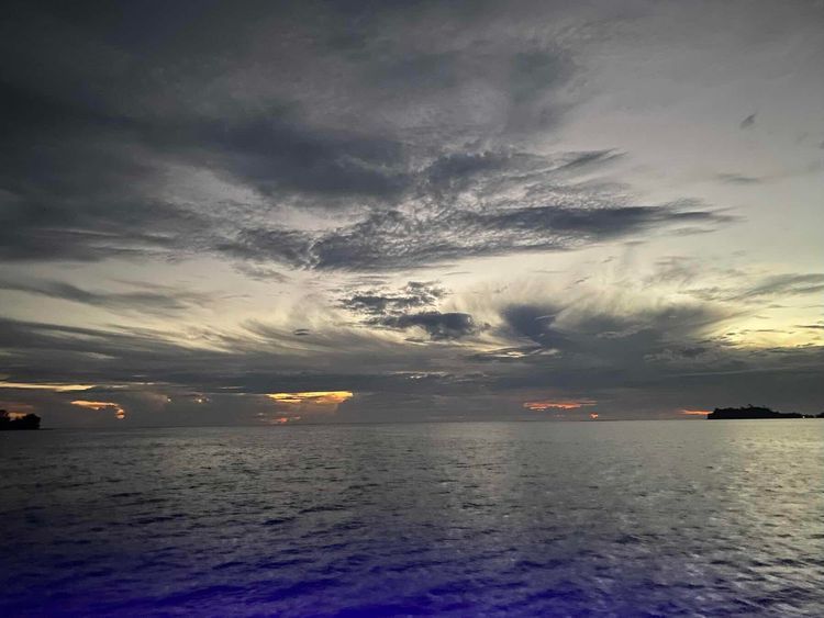 Voyage photo from Bora-Bora->Manta Snorkel