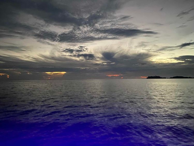 Voyage photo from Bora-Bora->Manta Snorkel