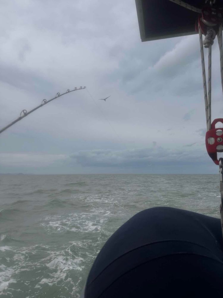 Voyage photo from Crossing to Koh Samui day 4