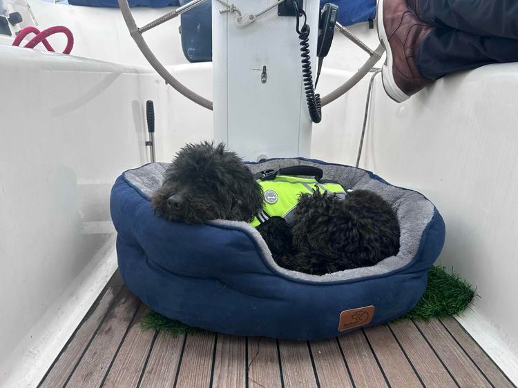 Voyage photo from Cold Champagne Sailing