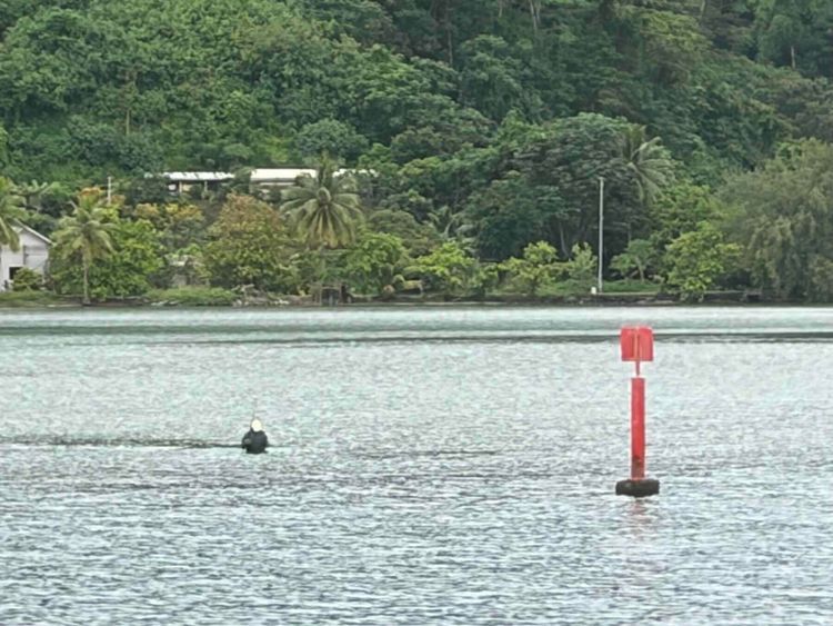 Voyage photo from BBYC vers Anapa pearl