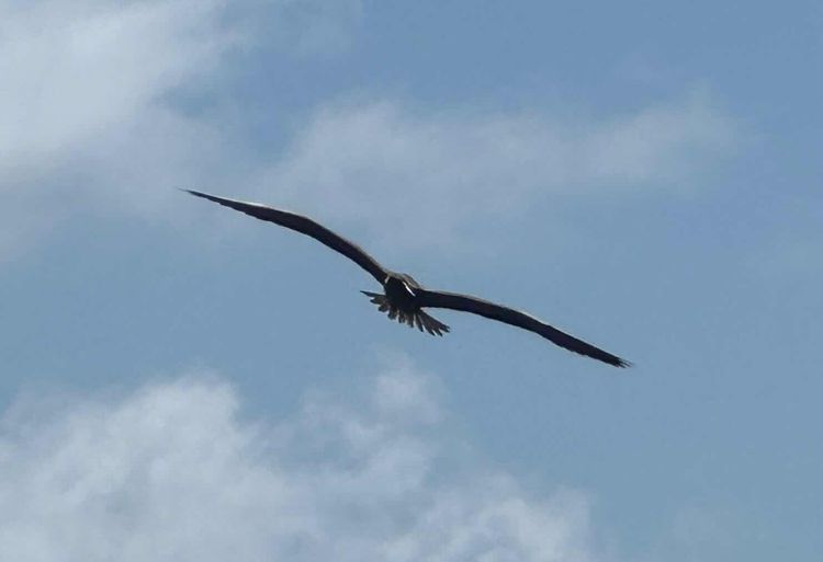Voyage photo from Saumlakki to Banda