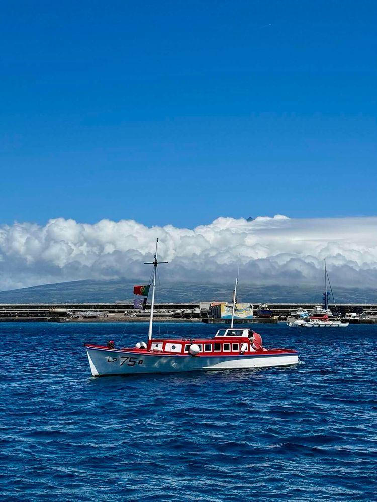 Voyage photo from 