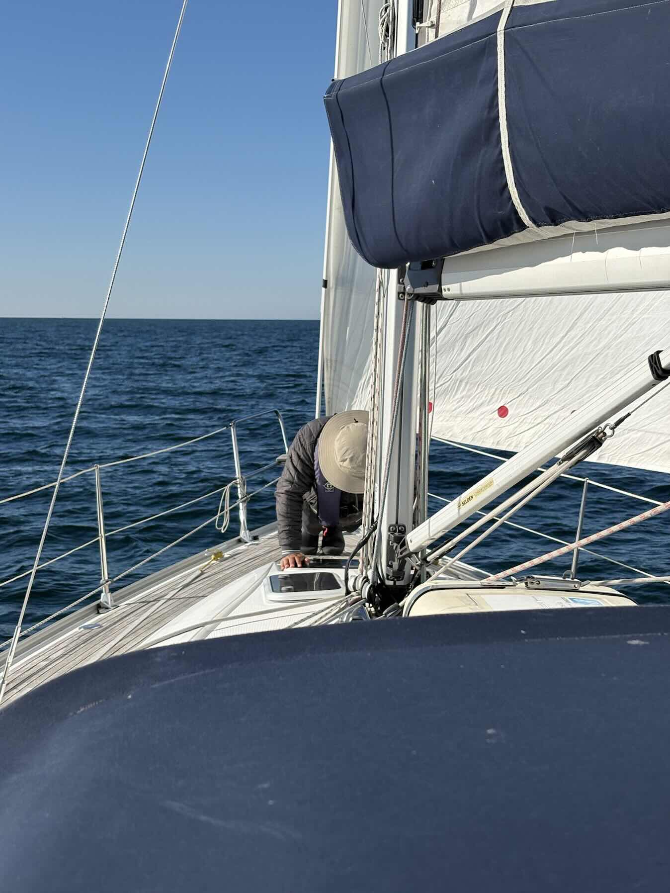 Sailing with dolphins_0171CD05-EA85-4179-8DF9-5608F5190B9D