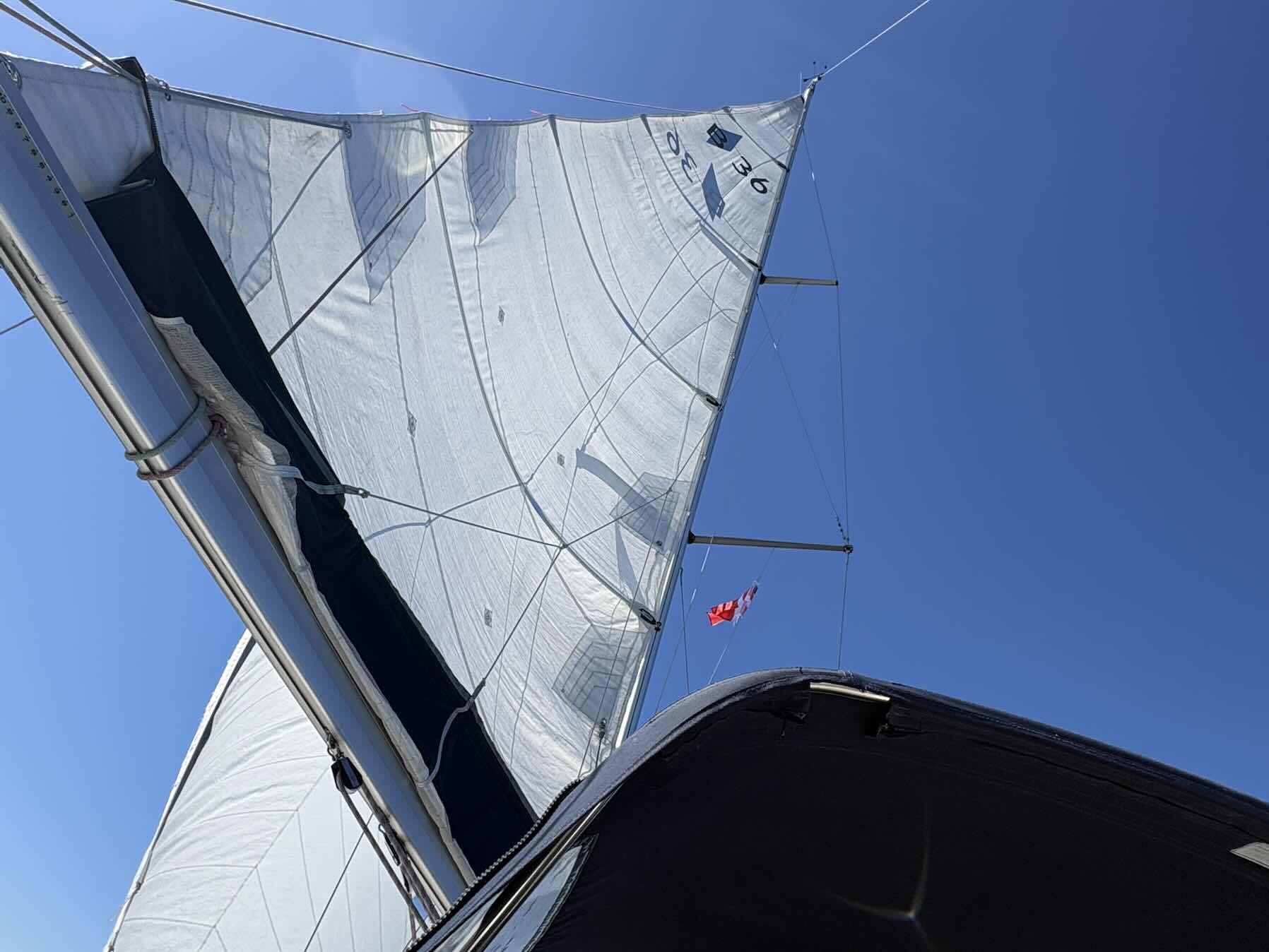 Sailing with dolphins_25142911-52B9-435B-A2DC-2B529B5D112E